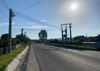 Adomnicăi: Prețurile la energie trebuie plafonate 6 luni