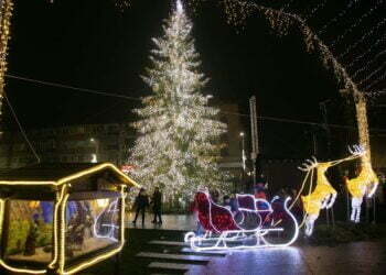 Accesul în Tîrgul de Crăciun al Sucevei, doar cu certificat verde