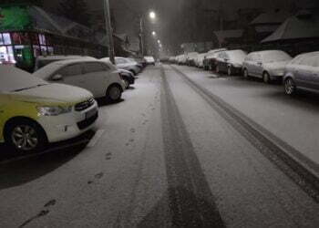 Cod galben de ninsori și vînt