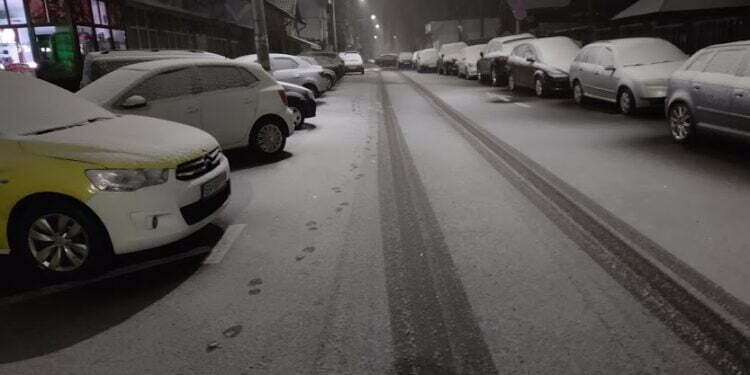 Cod galben de ninsori și vînt