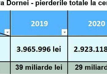 Centrala termică pe rumeguș de la Vatra Dornei, pierderi de 30 de miliarde de lei vechi. Petru Ariciuc: Rumegușul de lîngă centrală, ”bombă cu ceas”