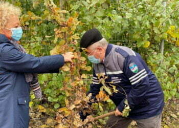 Teodora Munteanu poate părăsi primăria cu fruntea sus