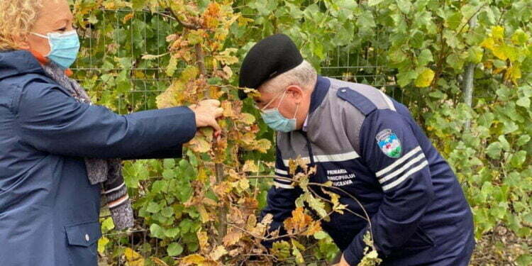 Teodora Munteanu poate părăsi primăria cu fruntea sus