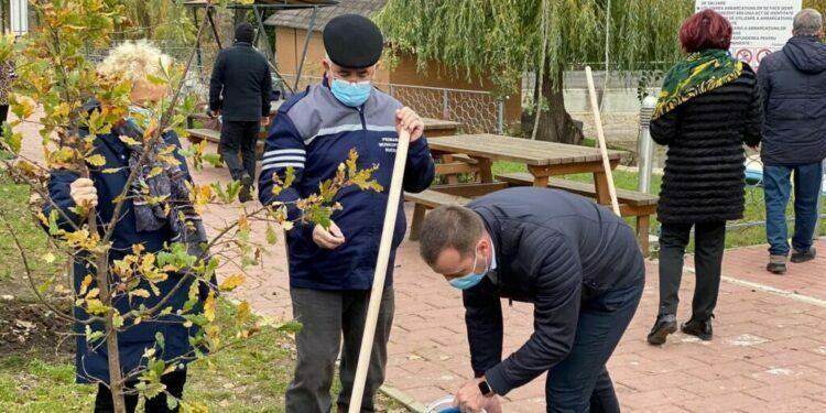 Cătălin Nechifor: Solicitarea de revocare este un lucru democratic. La urma urmei, Teodora Munteanu nu a fost votată de electorat ca viceprimar. A fost aleasă de către consilieri