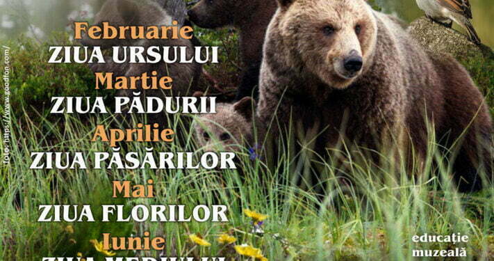 Lecții demonstrative și educative, predate de Muzeul de Științele Naturii