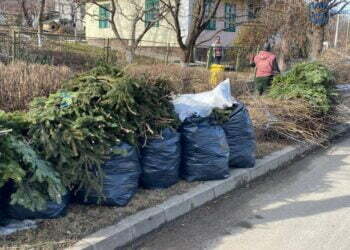 Viceprimarul Harșovschi: Frunzele, crengile și iarba trebuie lăsate în apropierea punctelor de colectare, pe spațiul verde, în zona de acces auto, în saci, separat de celelalte deșeuri