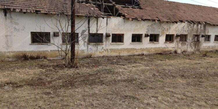 Imaginea dezolantă de la cîțiva pași de Primăria Suceava