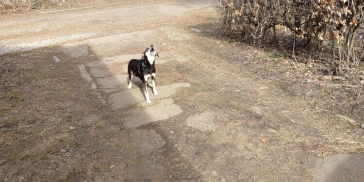 Imaginea dezolantă de la cîțiva pași de Primăria Suceava