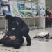 Curs de autoapărare, acordarea primului ajutor și investigare criminalistică, în holul din fața Rectoratului USV