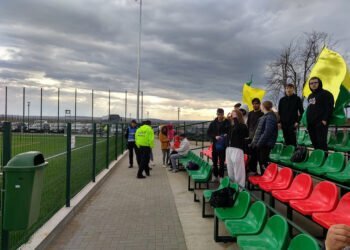 Suceava trebuie respectată, nu redusă la statutul de orășel