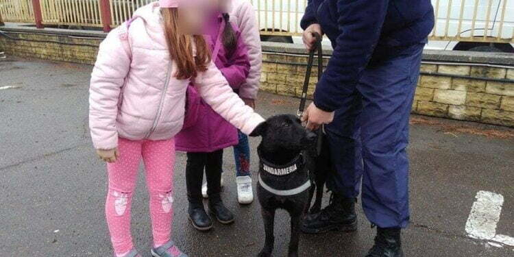 3 aprilie, începînd cu ora 11.00: Cîini antrenați și tehnică a Jandarmeriei, în centrul Sucevei