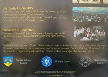 Tare-i mai place Consiliului Județean să fie moț