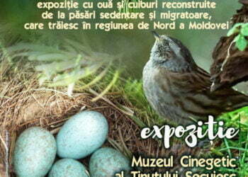 Muzeul de Științele Naturii Suceava, expoziție la Muzeul Cinegetic al Ținutului Secuiesc din Sfîntu Gheorghe