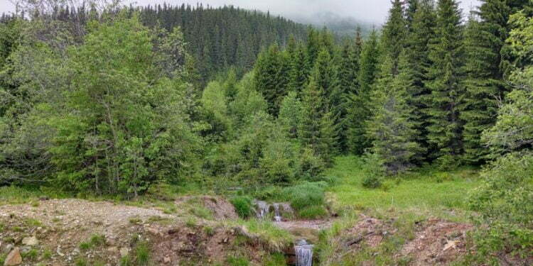 Verificări pe cursurile de apă, dispuse de prefectul de Suceava