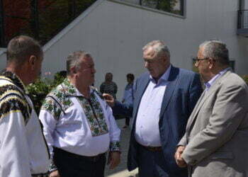 Investiții îmbrăcate în culori de partid