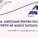 AJOFM Suceava, 5 programe gratuite de formare profesională, pentru 70 de persoane