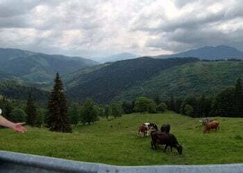 Românii ale căror vouchere de vacanță sînt pe punctul de a expira, invitați să le folesască în județul Suceava