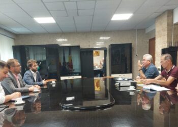 Primarul Ion Lungu: Cablurile de pe stîlpi ar putea fi îngropate în următorii doi ani printr-o tehnologie nouă