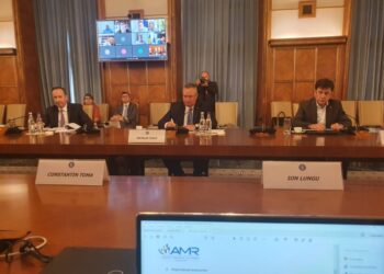 Primarul Sucevei, Ion Lungu, la București, la discuții despre Codul Fiscal, programul de casare a mașinilor mai vechi de 15 ani, rețelele de termoficare și sala polivalentă