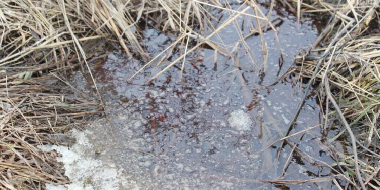 Prefectura Suceava: Probleme la iazul de decantare Pîrîul Cailor din comuna Fundu Moldovei