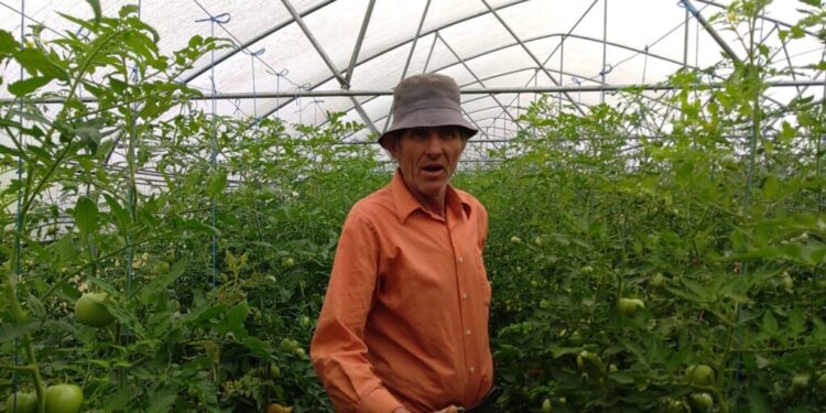 Dialog între un legumicultor sucevean și o delegație din Germania: ”Lucrați singur aici?”, ”Singur. Dacă ne-ați luat forța de muncă, eu cu cine să lucrez?”