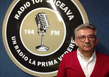 În Parcul Șipote s-ar putea amenaja o mică grădină japoneză și una englezească, și pot fi aduse conifere deosebite. Pepiniera Romsilva de la Salcea poate contribui