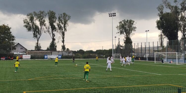 Foresta Suceava, victorie cu emoții la Bucecea, în meciul cu Dante Botoșani. De pe stadion nu au lipsit bădărănismele, glumele de șantier, firma de pază ”Kobra” și jandarmii cu un cîine lup (Foto)