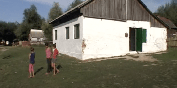 Se cere amendarea Inspectoratului Școlar Suceava și a Școlii Păltinoasa pentru segregarea pe criteriul etnic a 44 de elevi de etnie romă