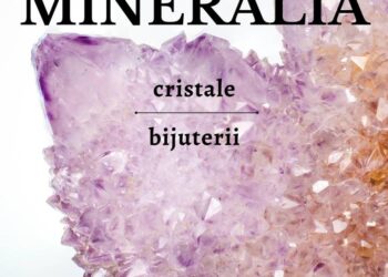 Brăţări, medalioane, coliere, cercei și inele din piatră, expuse la Muzeul de Științele Naturii