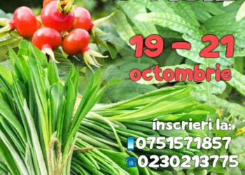 Plante comestibile lemnoase, la Muzeul de Științele Naturii. Proiect pentru elevii din școlile primare și gimnaziale