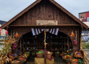 Legumicultorul Vasile Mătrășoaie, unul dintre participanții la Tîrgul ”Produs în Bucovina”: S-a prezentat o doamnă profesoară cu o clasă de la Păltinoasa care a terminat a VIII-a. Doi-trei copii dacă erau interesați de legumicultură. Am fost surprins