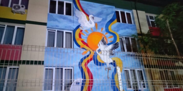 Graffiti și picturi murale pe blocurile Sucevei