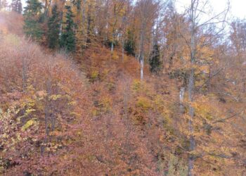 Zona de agrement Ariniș are tot ce-i trebuie, dar și ceva în plus: o plăcuță (Foto)