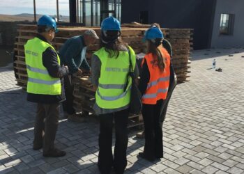 4 amenzi în valoare de 120.000 de lei și două avertismente, pentru muncă ”la negru” în domeniul construcțiilor