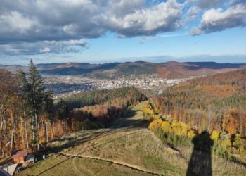 Zona de agrement Ariniș are tot ce-i trebuie, dar și ceva în plus: o plăcuță (Foto)