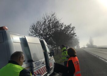Inspectorii de muncă, verificări la firme de transport persoane și mărfuri: 9 amenzi în valoare de 11.200 de lei