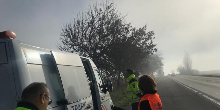 Inspectorii de muncă, verificări la firme de transport persoane și mărfuri: 9 amenzi în valoare de 11.200 de lei