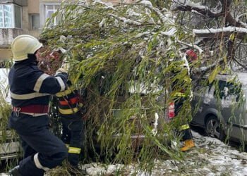 Un arbore a căzut peste 3 mașini parcate în zona Metro