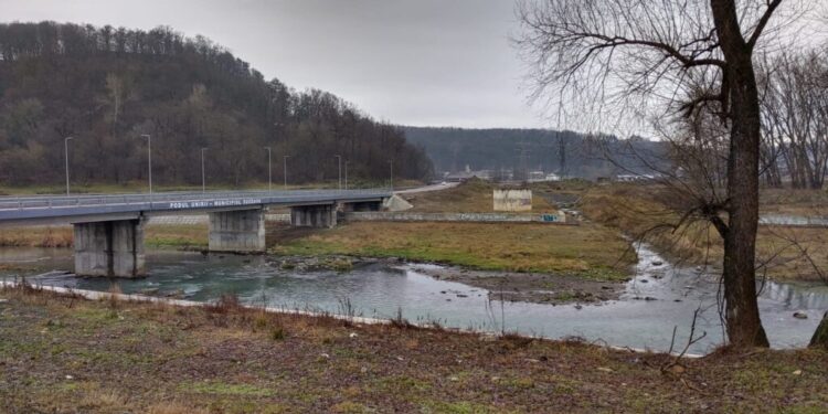 La jumătate de an după ce tone de pește din rîul Suceava au murit, AJVPS Botoșani, gestionarul cursului de apă, nu a făcut nici o repopulare