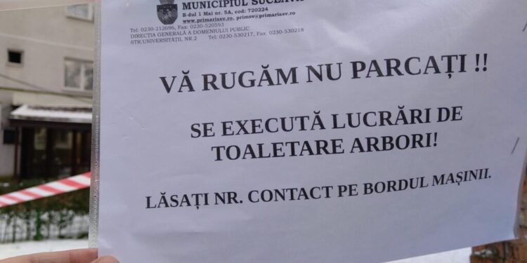 Direcția Domeniului Public Suceava continuă acțiunea de toaletare și tăiere a arborilor. Cererile formulate de asociațiile de proprietari sînt analizate și avizate de Biroul de Mediu al Poliției Locale