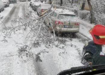 Pompierii au îndepărtat arborii și crengile doborîte de vînt și de zăpadă în municipiul Suceava și la Crucea, Vatra Dornei, Adîncata și Ciocănești