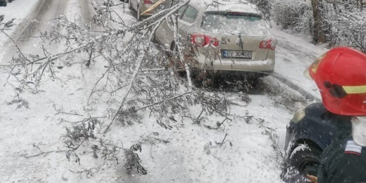 Pompierii au îndepărtat arborii și crengile doborîte de vînt și de zăpadă în municipiul Suceava și la Crucea, Vatra Dornei, Adîncata și Ciocănești