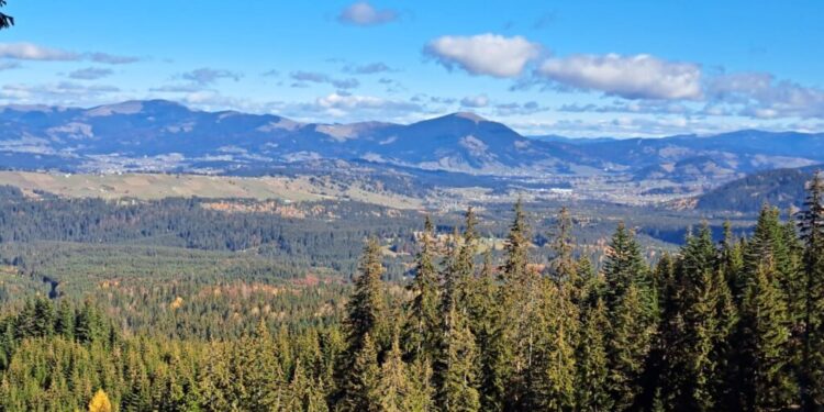 21 martie – Ziua Internațională a Pădurilor