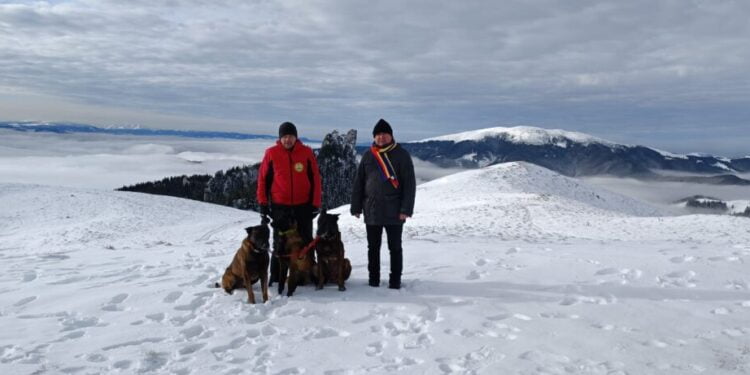 Cîinii Erik și Yan, de la Salvamont Suceava, au luat examenul, susținut în Munții Bucegi, care le permite participarea la acțiuni de salvare