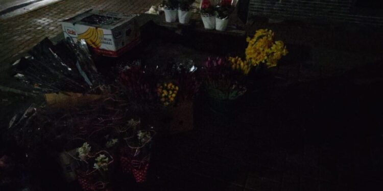 De 8 martie, florarii au ieșit pe străzile Sucevei cu noaptea în cap. O zambilă costă 4 lei, iar o orhidee 15 lei. La mulți ani tuturor doamnelor și domnișoarelor!