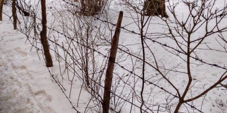 Consilierul local Dan Ioan Cușnir: Sînt pe la blocuri garduri de sîrmă ghimpată și straturi de pătrunjel, morcov sau ceapă. Oricît aș vrea eu să fiu de critic la adresa primarului Ion Lungu, aici trebuie trași la răspundere cei de la Domeniul Public