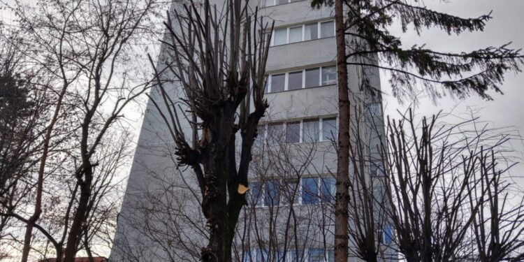 Lucian Harșovschi: Fac apel la toți sucevenii să permită administrației să se ocupe de toaletarea sau tăierea copacilor. Vă asigur că de fiecare dată cînd intervenim și trebuie să tăiem un copac plantăm cel puțin doi în loc, în zone diferite