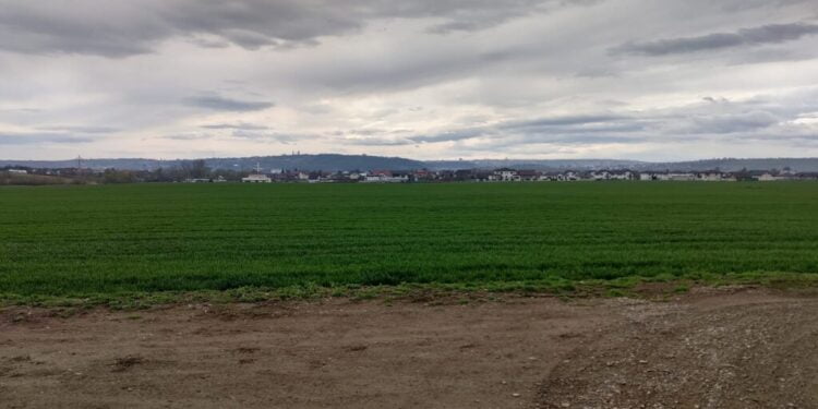 ”Sperăm ca după Paști vremea să-și revină, pentru a putea intra fermierii la semănat, la cultivat, la tratamente, la fertilizat, întrucît este nevoie”