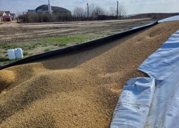 Fermierii suceveni, protest în Vama Siret față de situația creată de transporturile de cereale din Ucraina pe teritoriul țării noastre