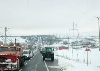 Medicul veterinar și fermierul Doru Lefter: Dacă am pierdut o grămadă de zone din economie sîntem pe cale să pierdem și economia de bază a României, cea a produselor agroalimentare, și nu este în ordine. Asta a fost logica pentru care s-a ieșit în stradă